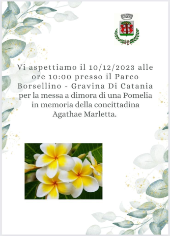 Gravina ricorderà Agata Marletta domenica 10 dicembre mattina al parco "Borsellino" 